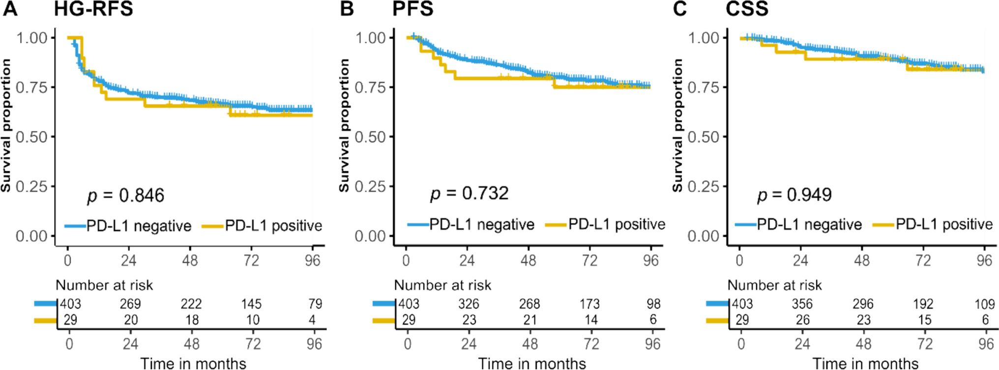 PD-L1 expression in high-risk non-muscle invasive bladder cancer is not a biomarker of response to BCG