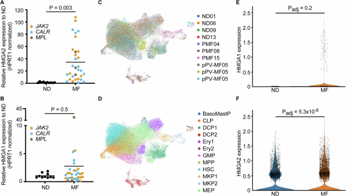 HMGA2 overexpression with specific chromosomal abnormalities predominate in CALR and ASXL1 mutated myelofibrosis