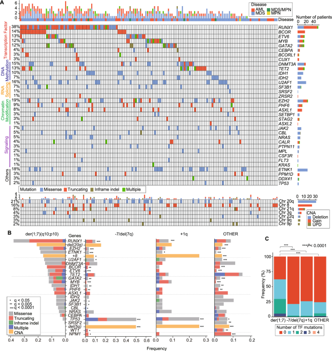 Genetic analysis of myeloid neoplasms with der(1;7)(q10;p10)