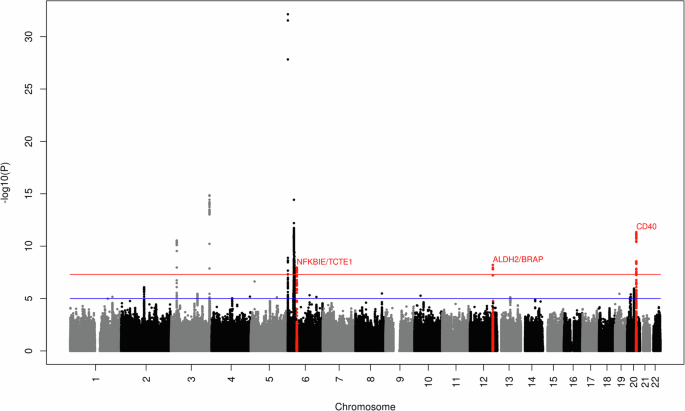 Genetic susceptibility of diffuse large B-cell lymphoma: a meta genome-wide association study in Asian population