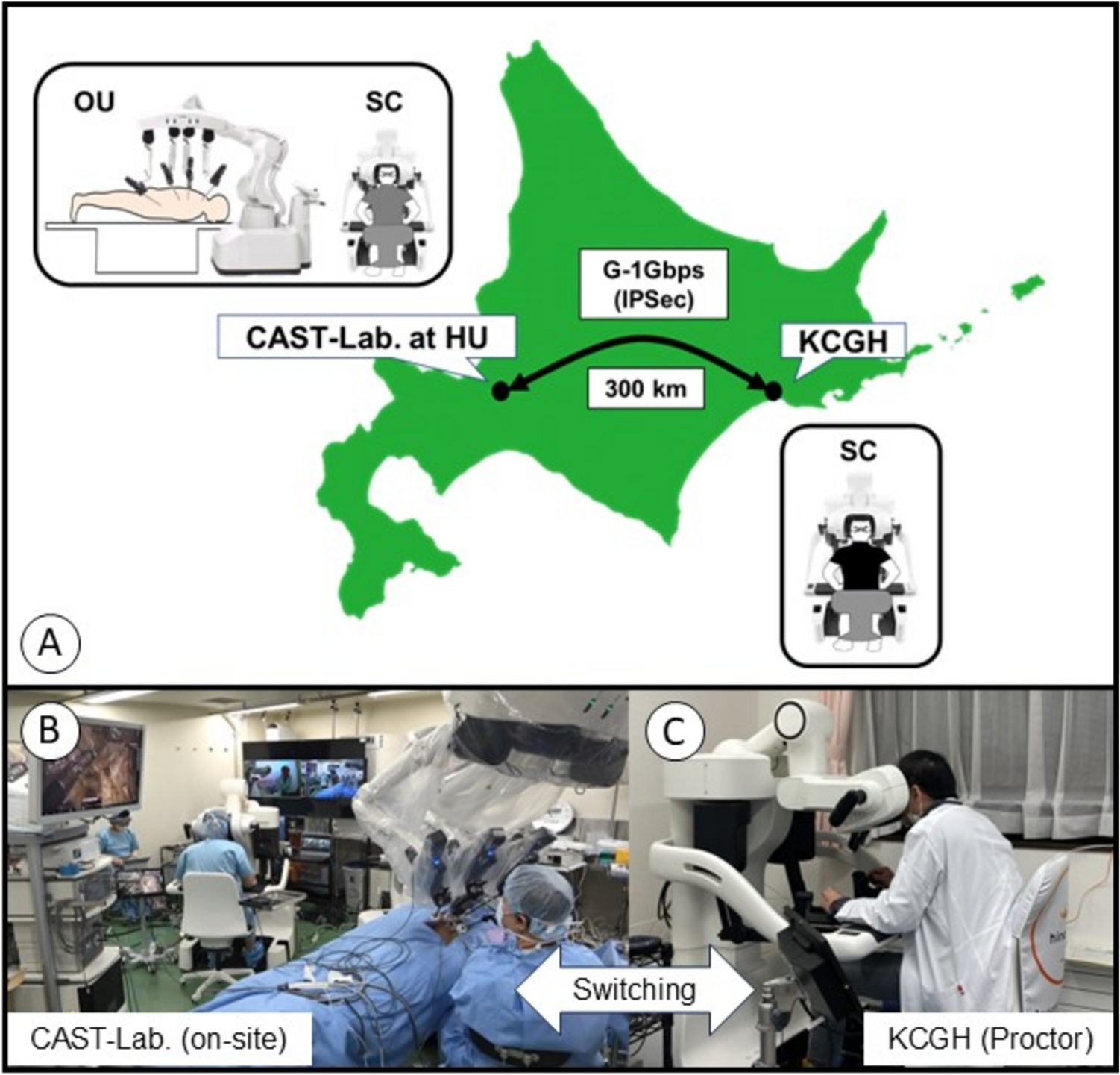 Tele-robot-assisted minimally invasive esophagectomy using a double-surgeon cockpit on a cadaver