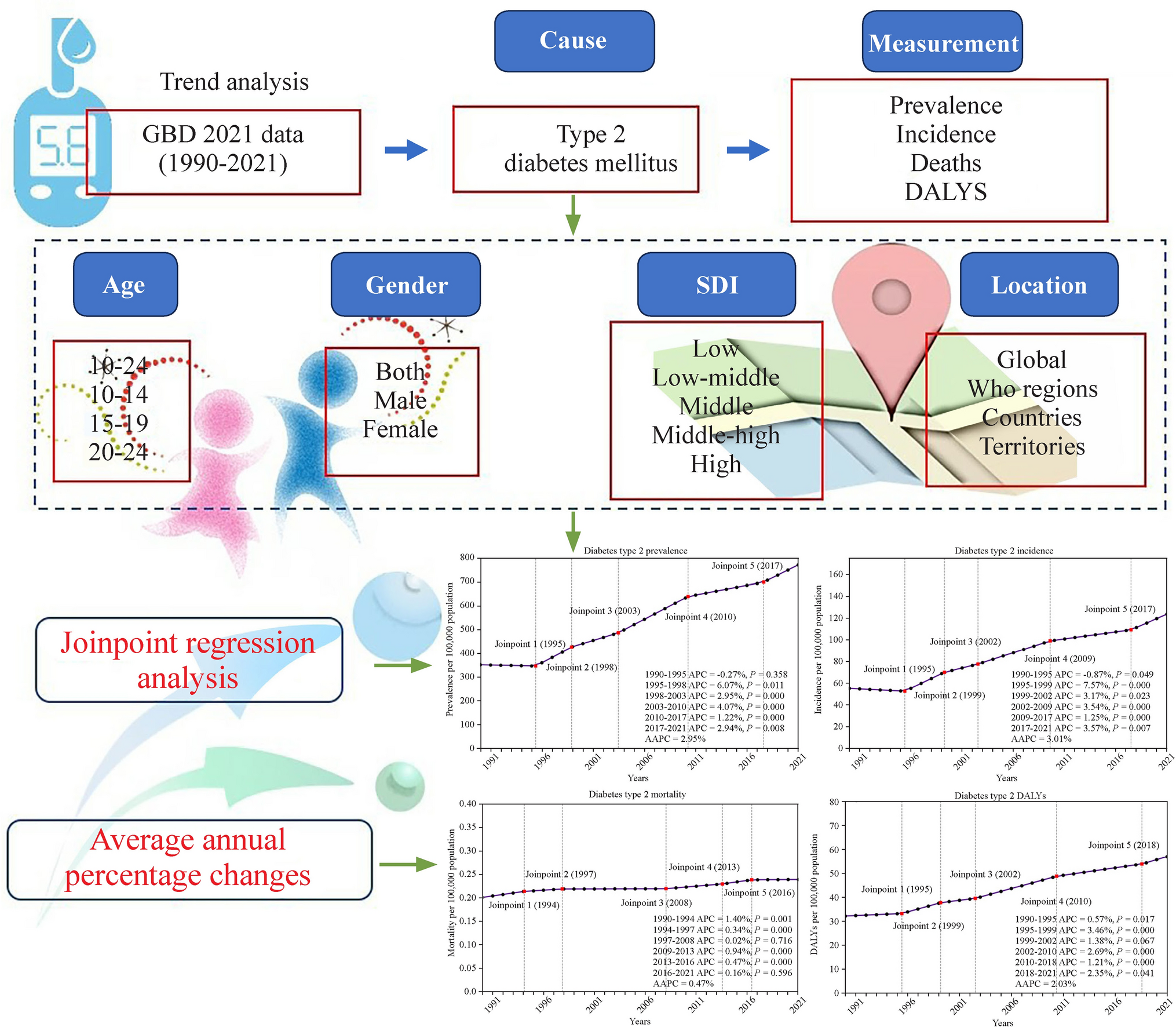 Global, regional, and national trends in type 2 diabetes mellitus burden among adolescents and young adults aged 10–24 years from 1990 to 2021: a trend analysis from the Global Burden of Disease Study 2021