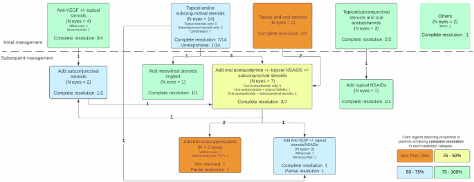 Uveitic macular oedema in ocular tuberculosis patients in a non-endemic country: characteristics, management, and visual Outcomes