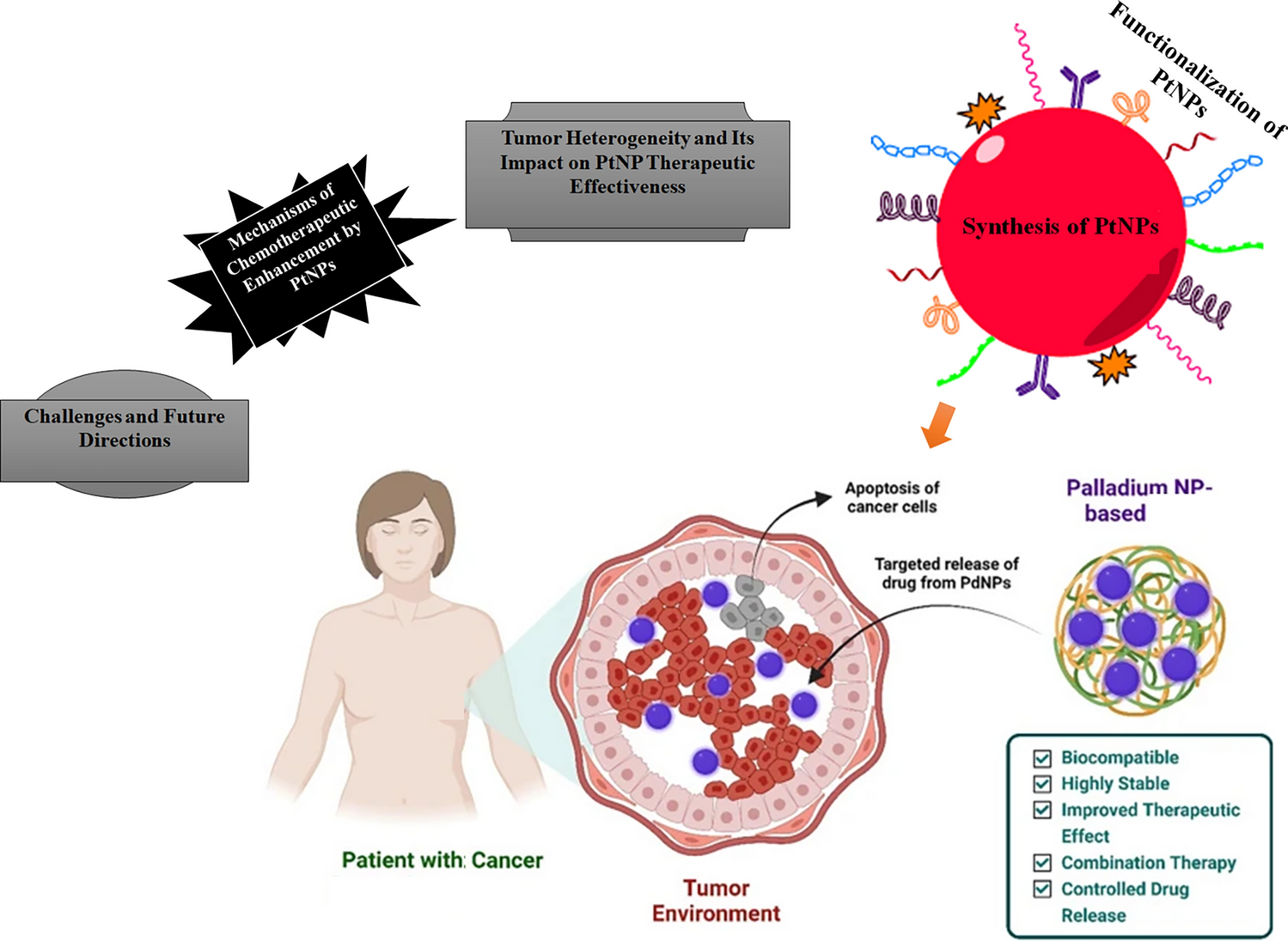 Platinum nanoparticles in cancer therapy: chemotherapeutic enhancement and ROS generation