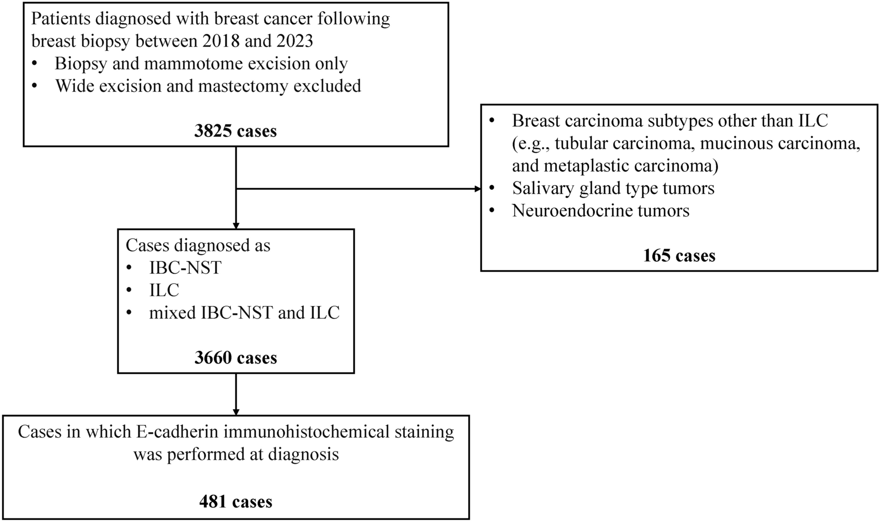 Comprehensive characterization of invasive mammary carcinoma with lobular features: integrating morphology and E-cadherin immunohistochemistry patterns