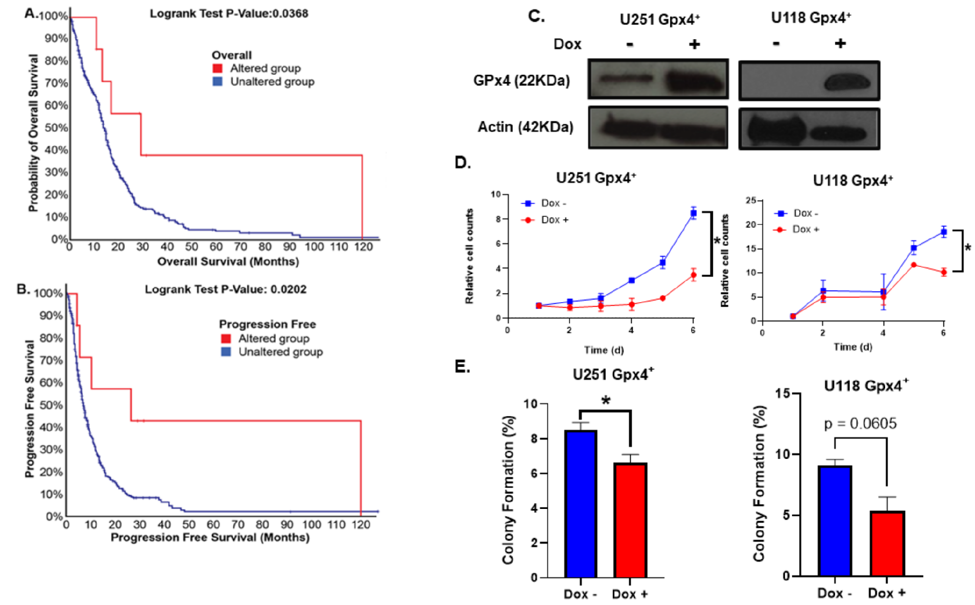 Glutathione peroxidase 4 overexpression induces anomalous subdiffusion and impairs glioblastoma cell growth