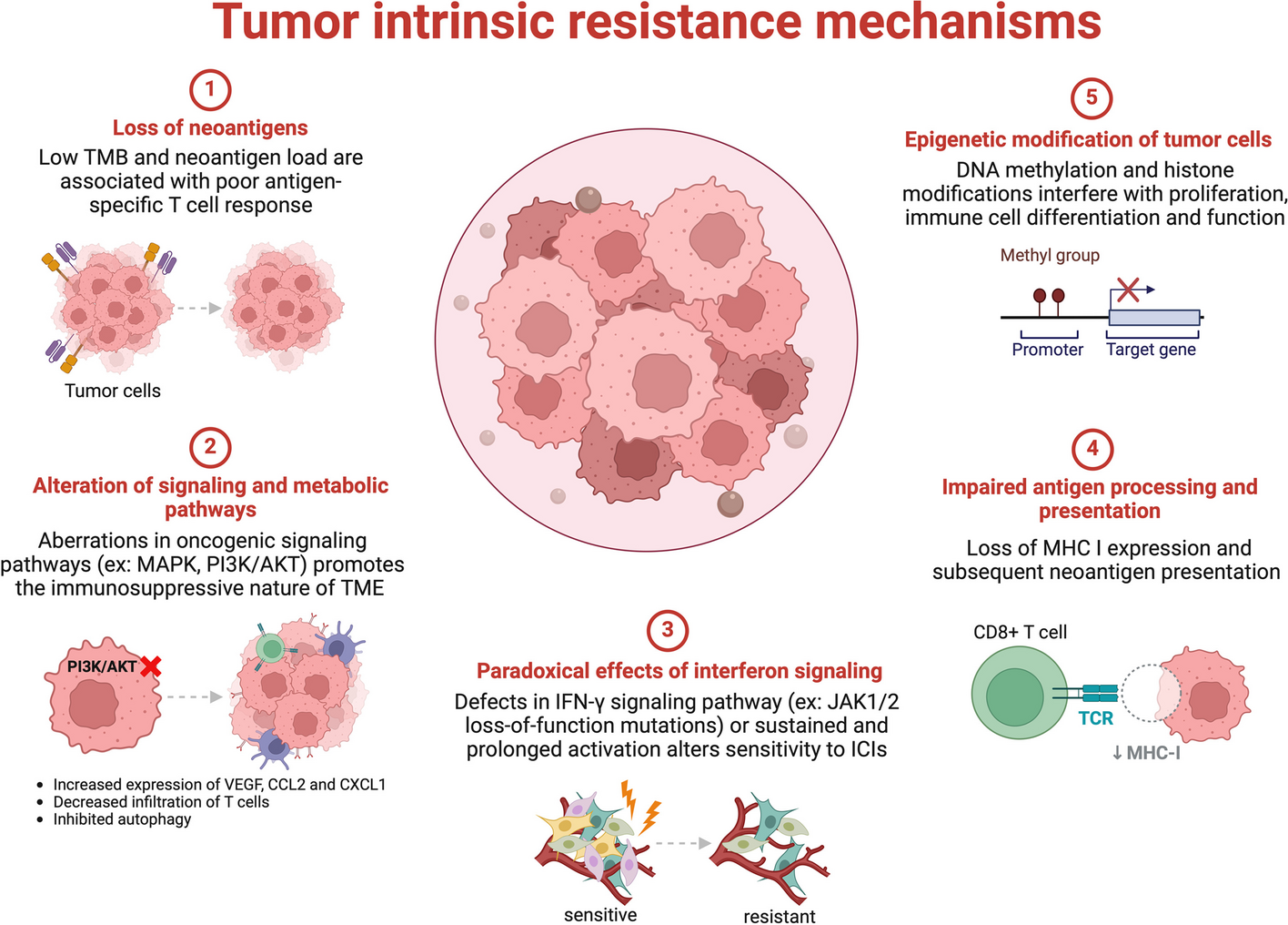 Resistance mechanisms to immune checkpoint inhibitors: updated insights