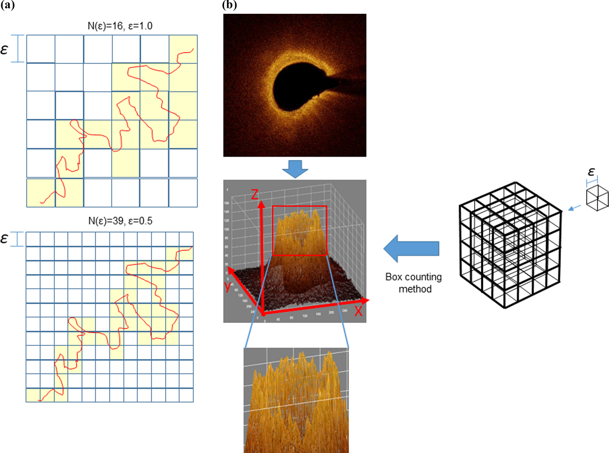 Fractal geometry of culprit coronary plaque images within optical coherence tomography in patients with acute coronary syndrome vs stable angina pectoris