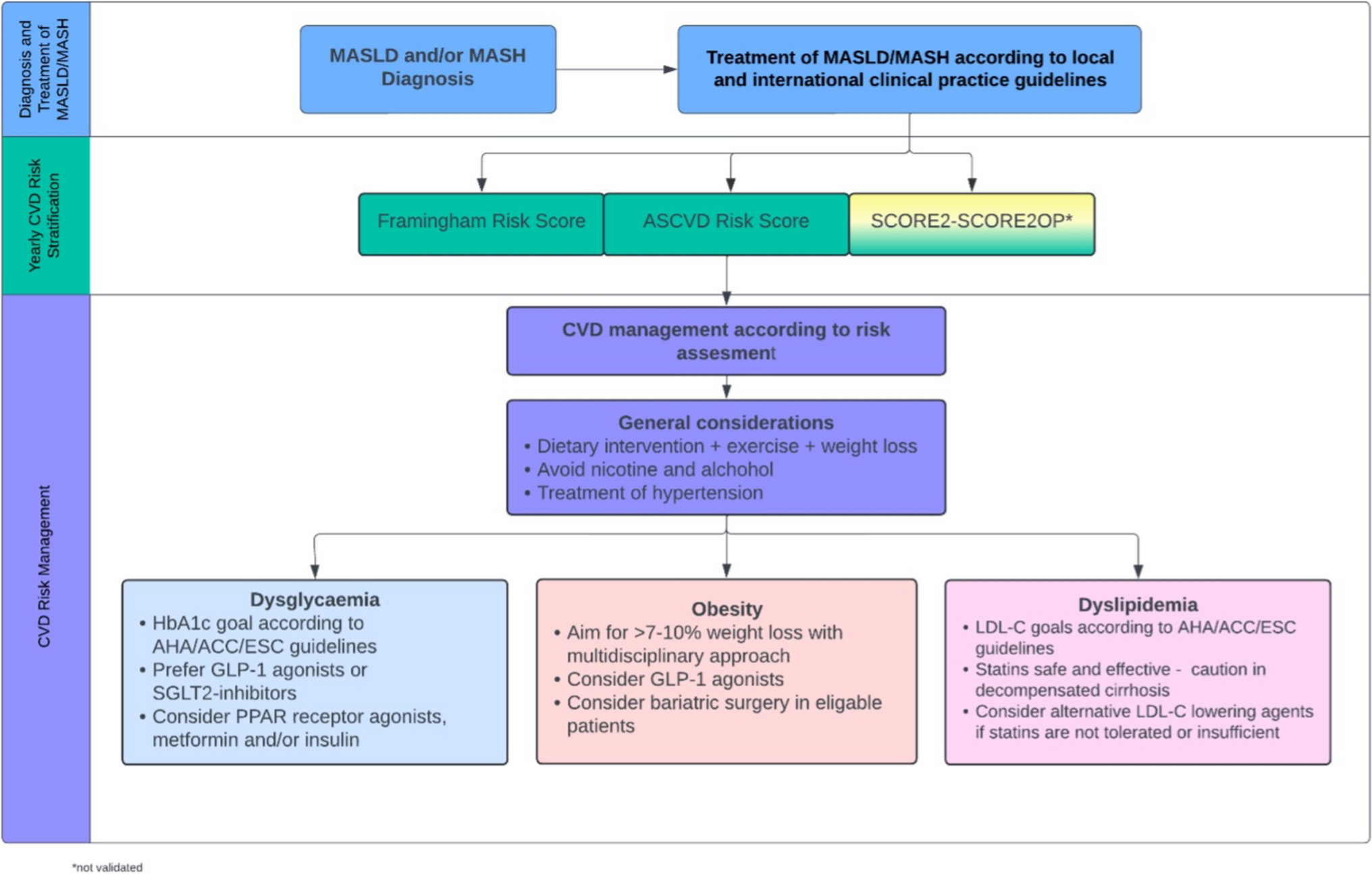 Cardiovascular Risk Reduction in Metabolic Dysfunction-Associated Steatotic Liver Disease and Metabolic Dysfunction-Associated Steatohepatitis
