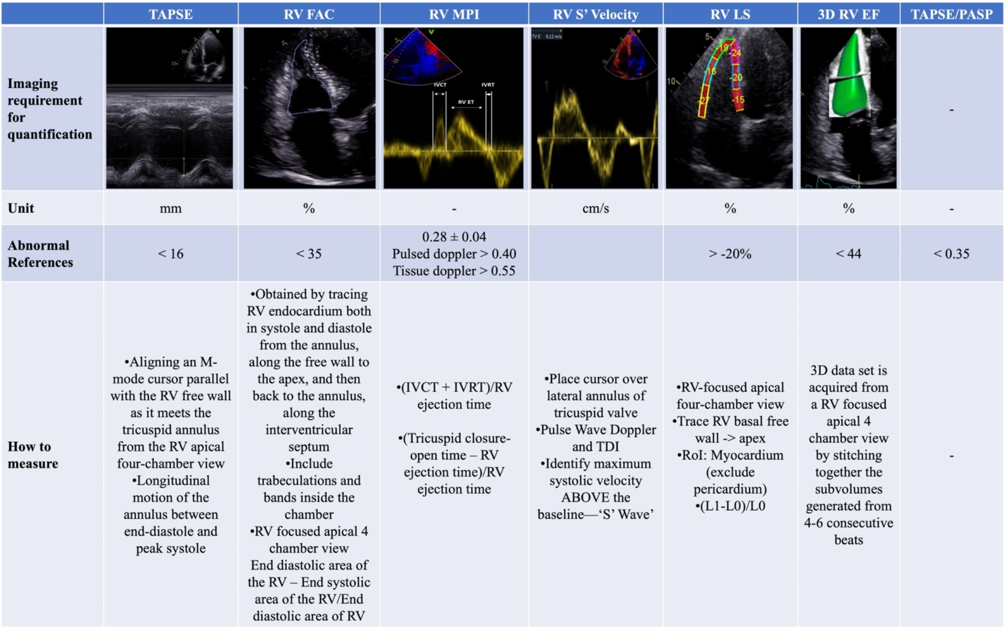Right Ventricle Function: The Role of the Forgotten Chamber in Mitral Valve Surgery