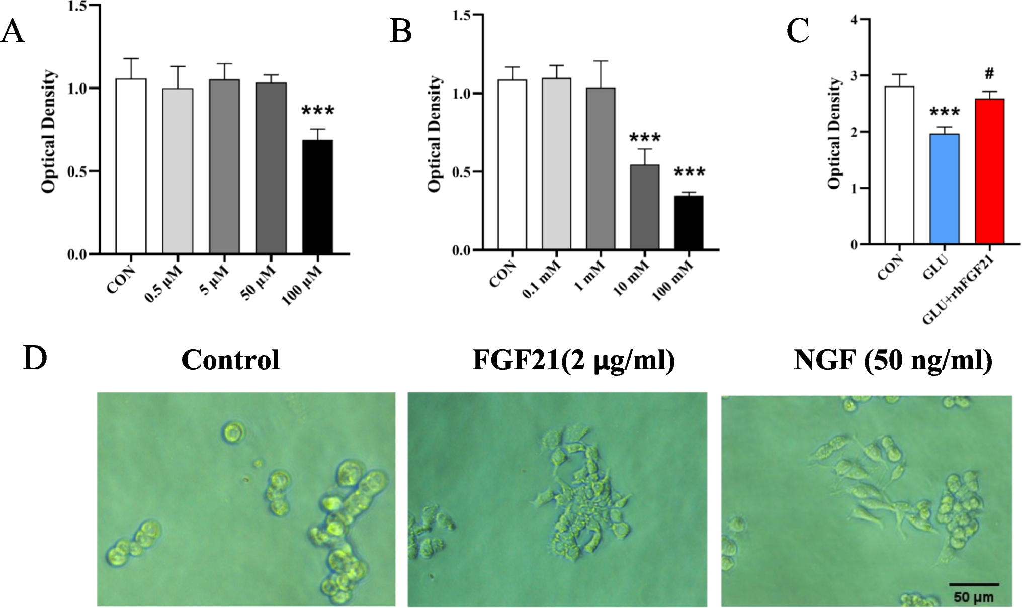 FGF21 Exhibits Neuroprotective Effects by Promoting 5-HT1AR-FGFR1 Heteroreceptor Complexes and Triggering MEK1/2-ERK1/2 Signaling Pathway