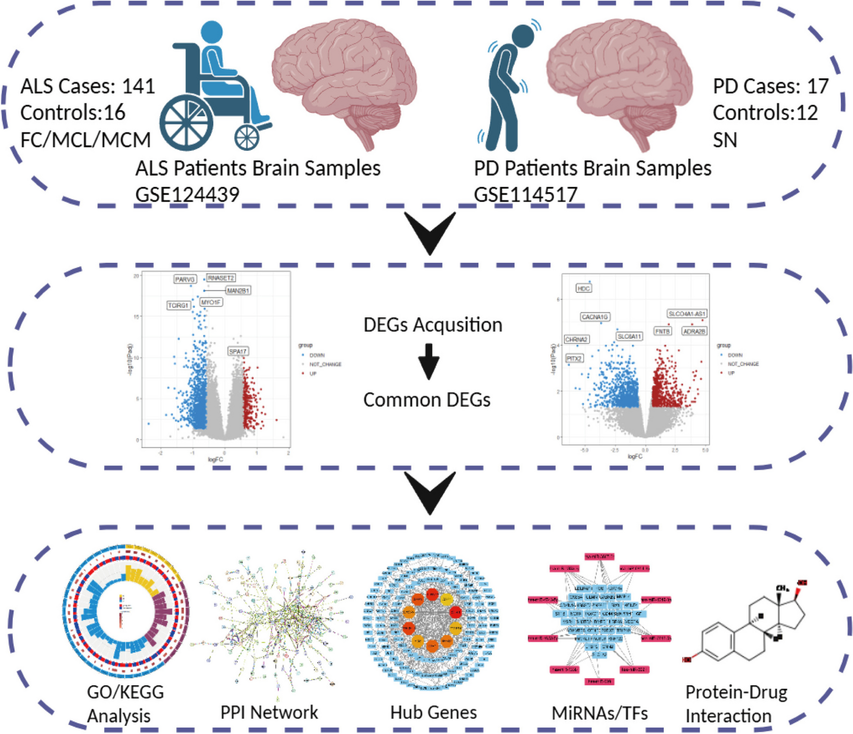Amyotrophic Lateral Sclerosis and Parkinson's Disease: Brain Tissue Transcriptome Analysis Reveals Interactions