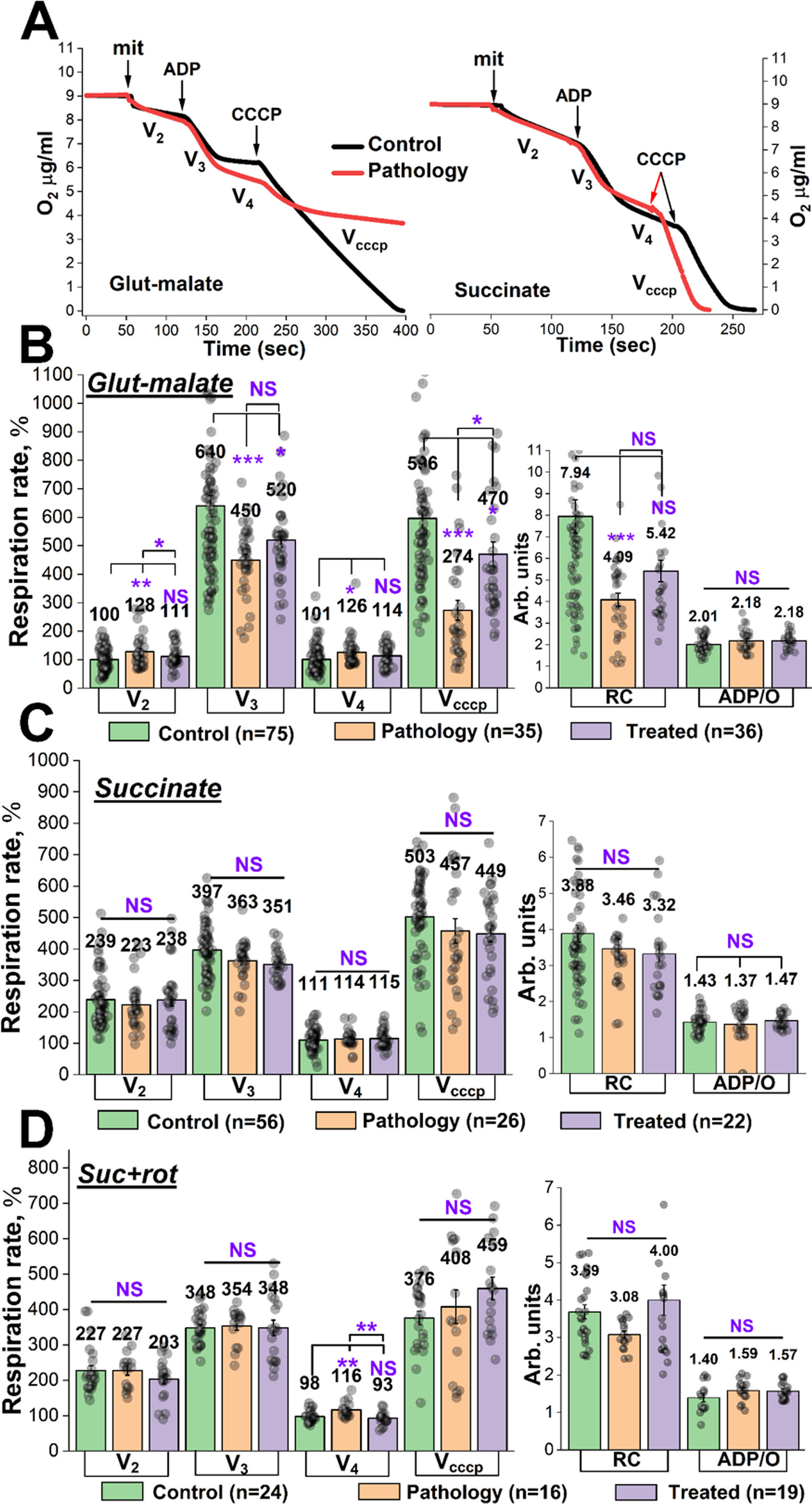 Acute CCl4-induced intoxication reduces complex I, but not complex II-based mitochondrial bioenergetics – protective role of succinate