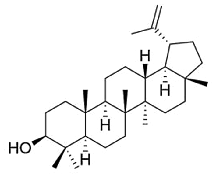 DSC and FTIR study on the interaction between pentacyclic triterpenoid lupeol and DPPC membrane
