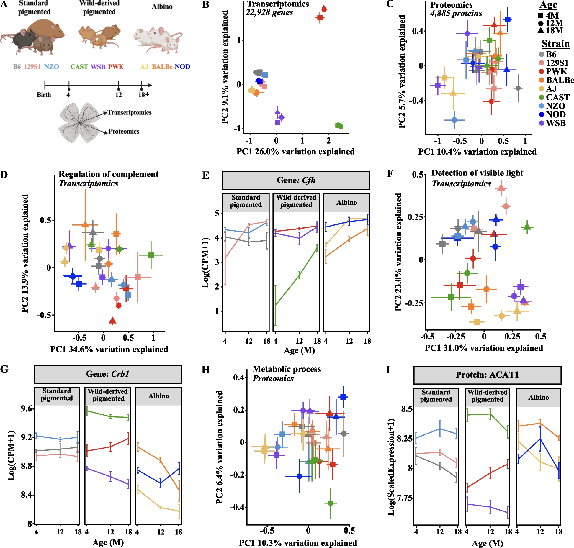 Genetic context modulates aging and degeneration in the murine retina