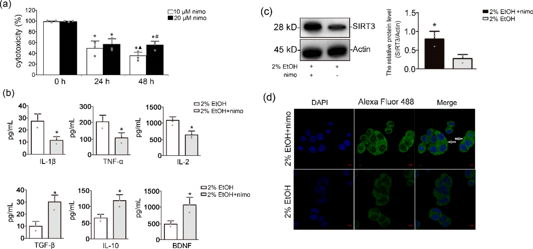 Nimodipine ameliorates subarachnoid hemorrhage-induced neuroinflammation and injury by protecting mitochondrial function and regulating autophagy