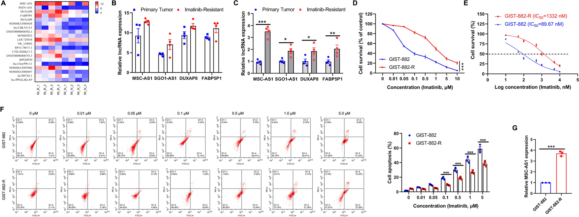 Long non-coding RNA MSC-AS1 confers imatinib resistance of gastrointestinal stromal tumor cells by activating FNDC1 and ANLN-mediated PI3K/AKT pathway