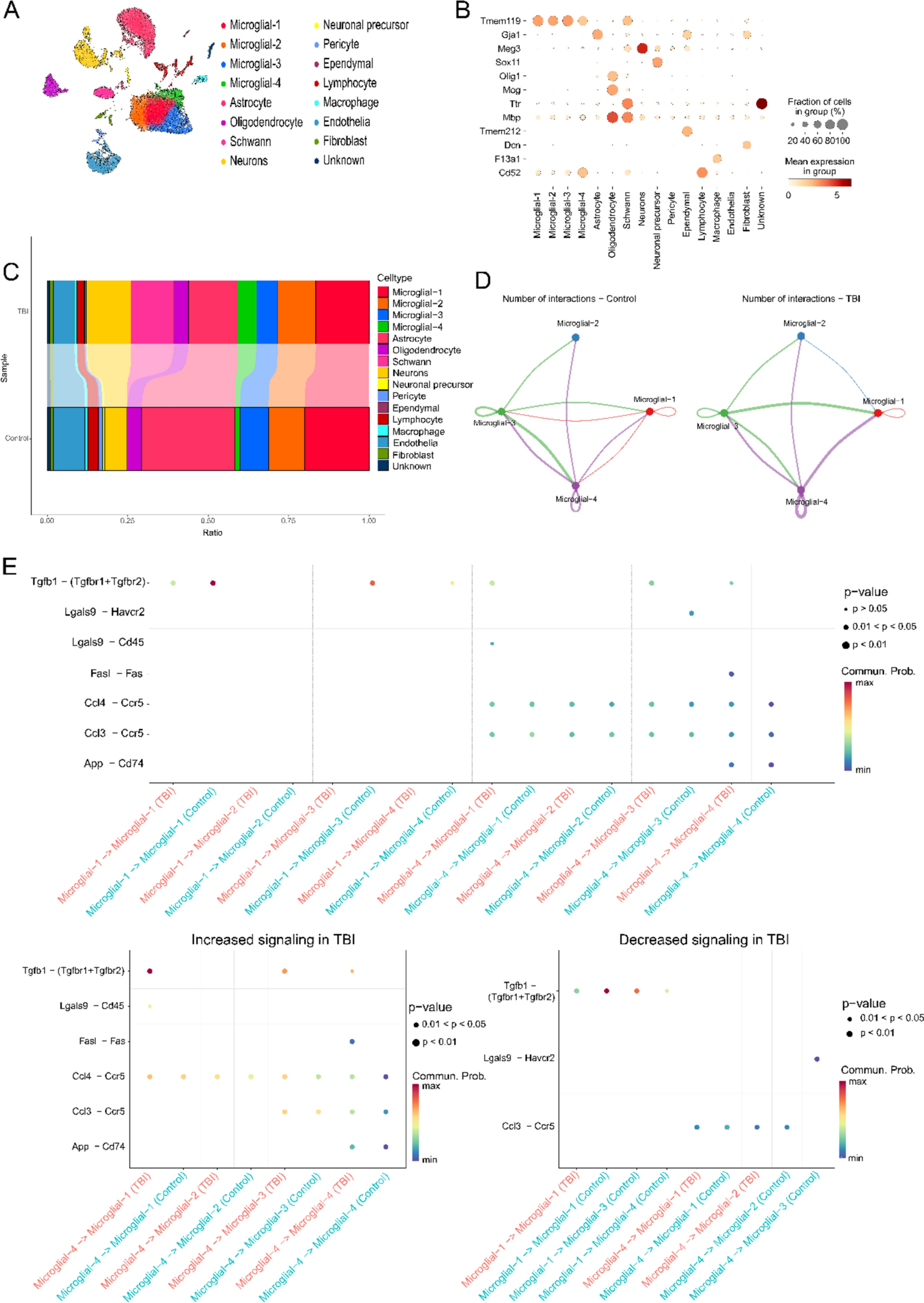 β-Asarone regulates microglia polarization to alleviate TBI-induced nerve damage via Fas/FasL signaling axis