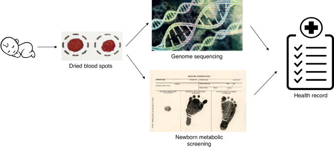 Advancing neonatal health: the promise and challenges of universal genome sequencing in newborn screening