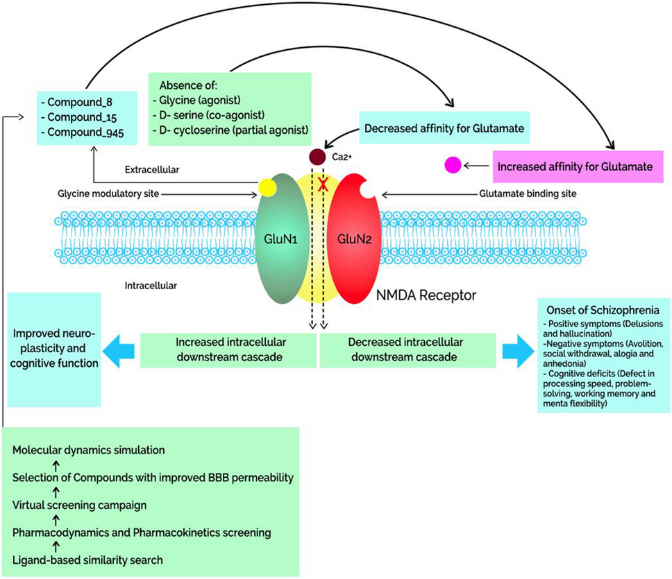 Computational modeling design of novel NMDAR agonist for the treatment of Schizophrenia
