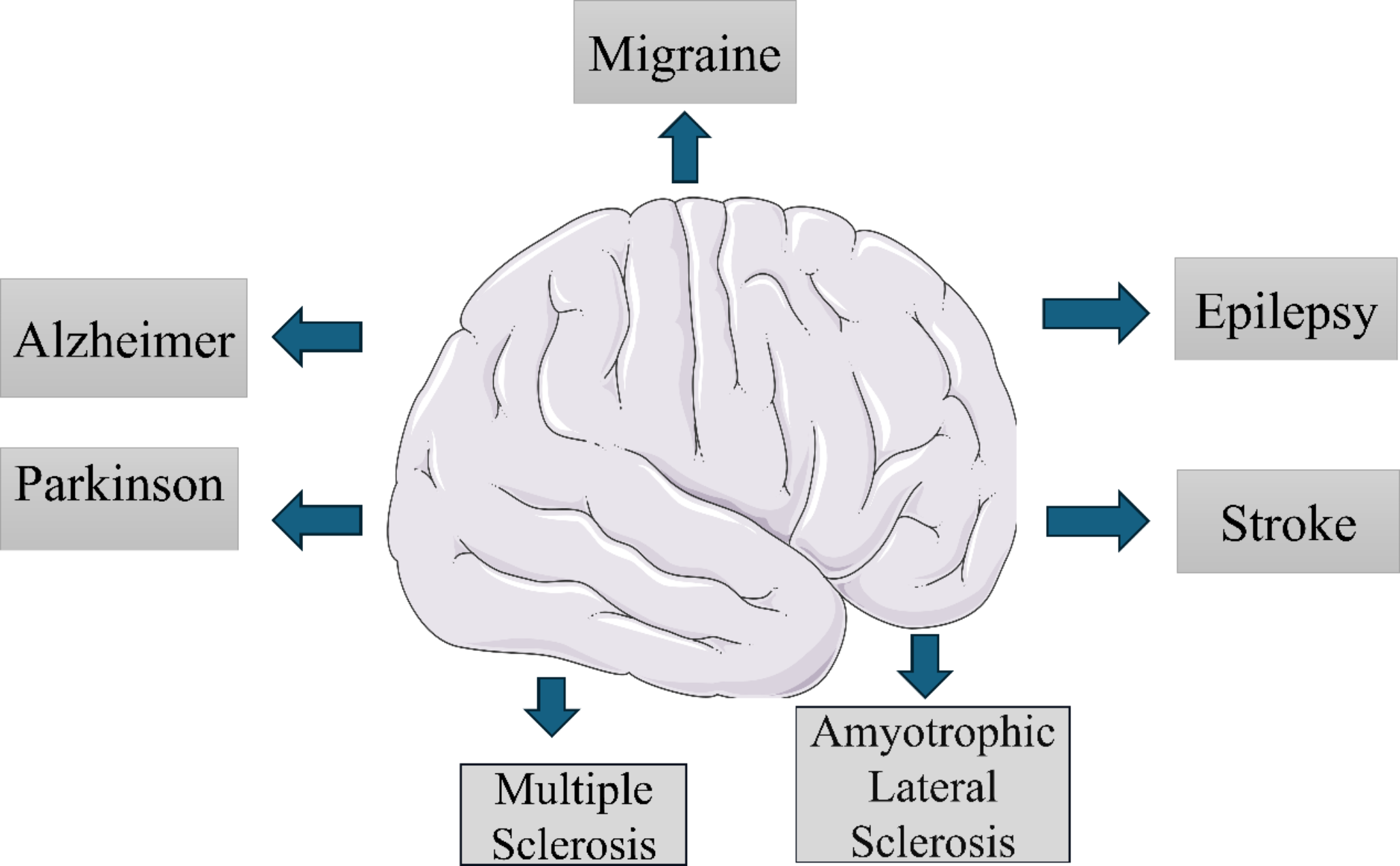 Nutrigenomics and neurological disorders: exploring diet-brain interactions for cognitive health