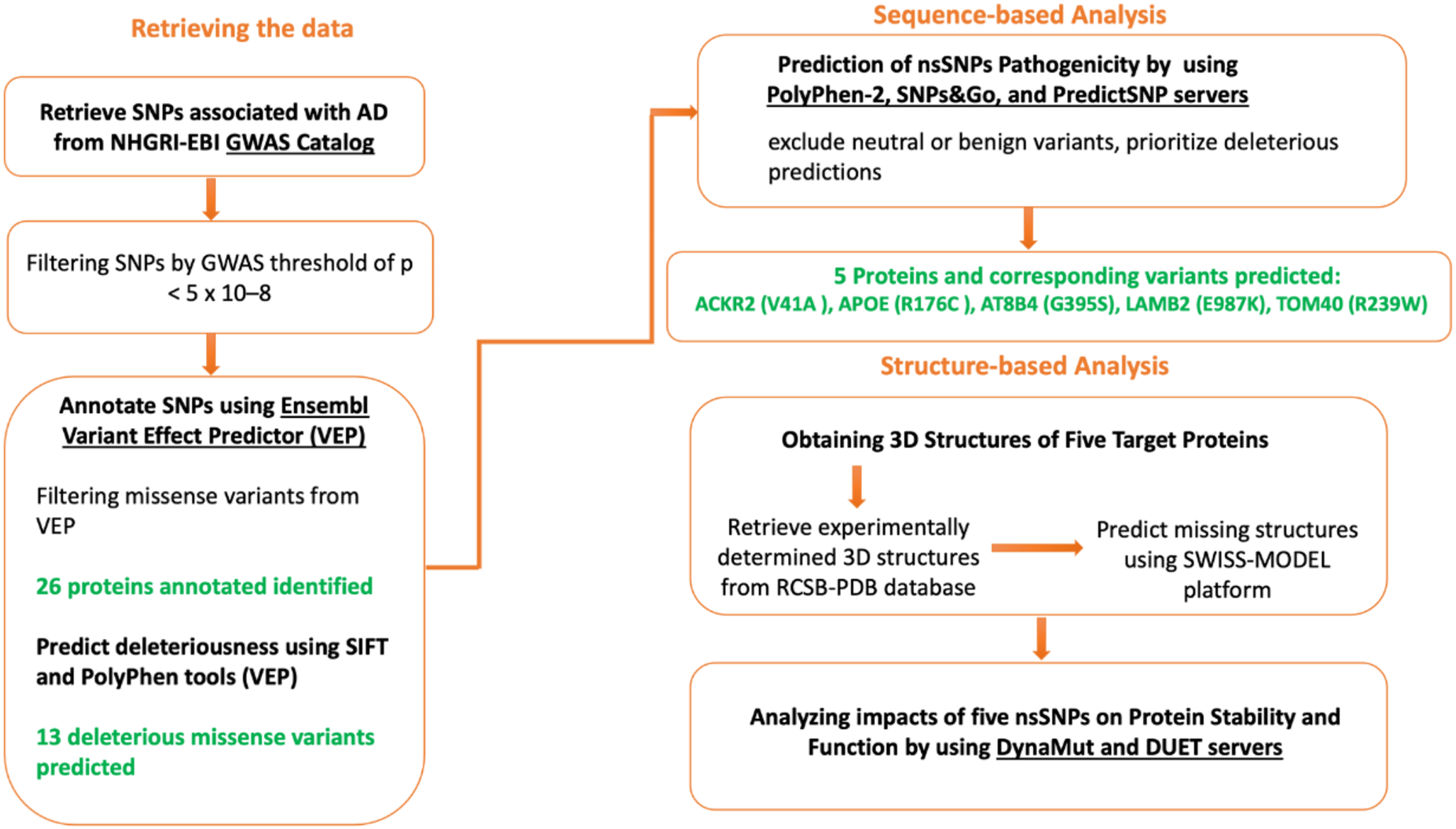Analysis of Alzheimer’s disease associated deleterious non-synonymous single nucleotide polymorphisms and their impacts on protein structure and function by performing in-silico methods