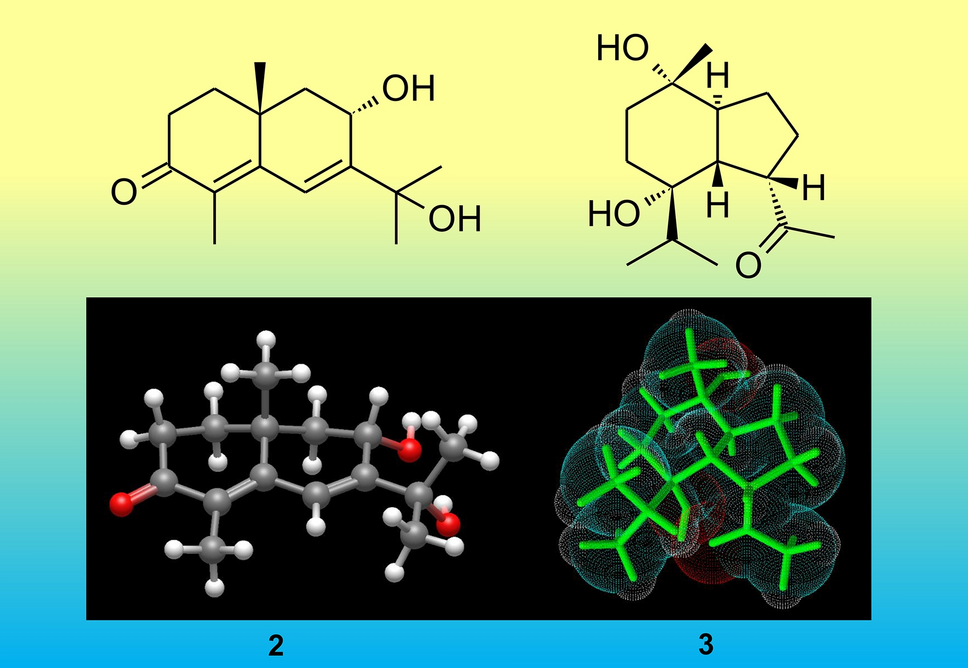New sesquiterpenes from the soft coral Litophyton arboreum