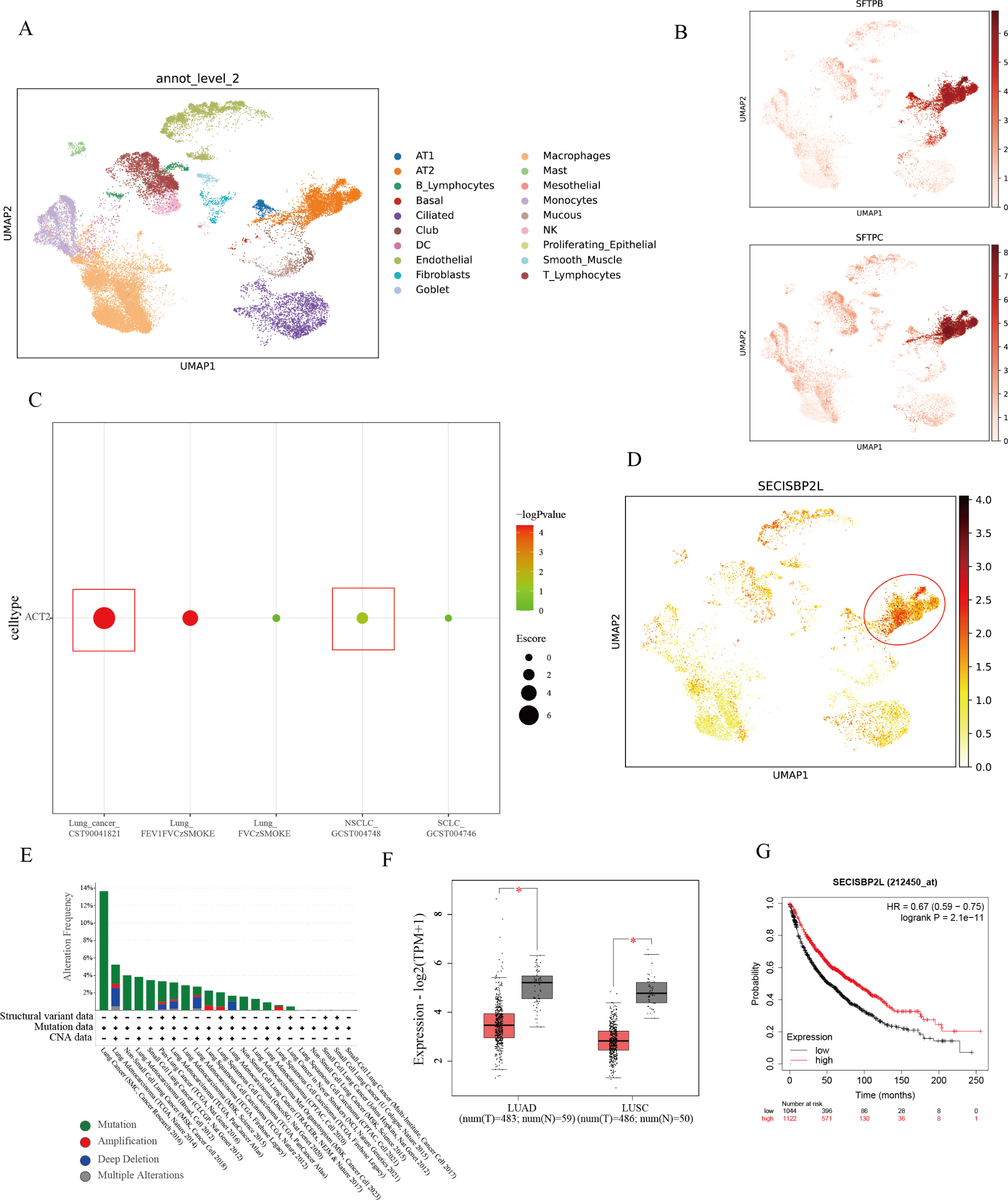 Utilizing sc-linker to integrate single-cell RNA sequencing and human genetics to identify cell types and driver genes associated with non-small cell lung cancer