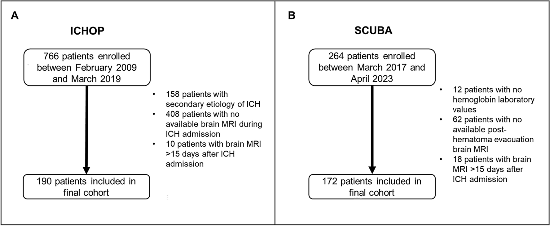 Hemoglobin Decrements are Associated with Ischemic Brain Lesions and Poor Outcomes in Patients with Intracerebral Hemorrhage