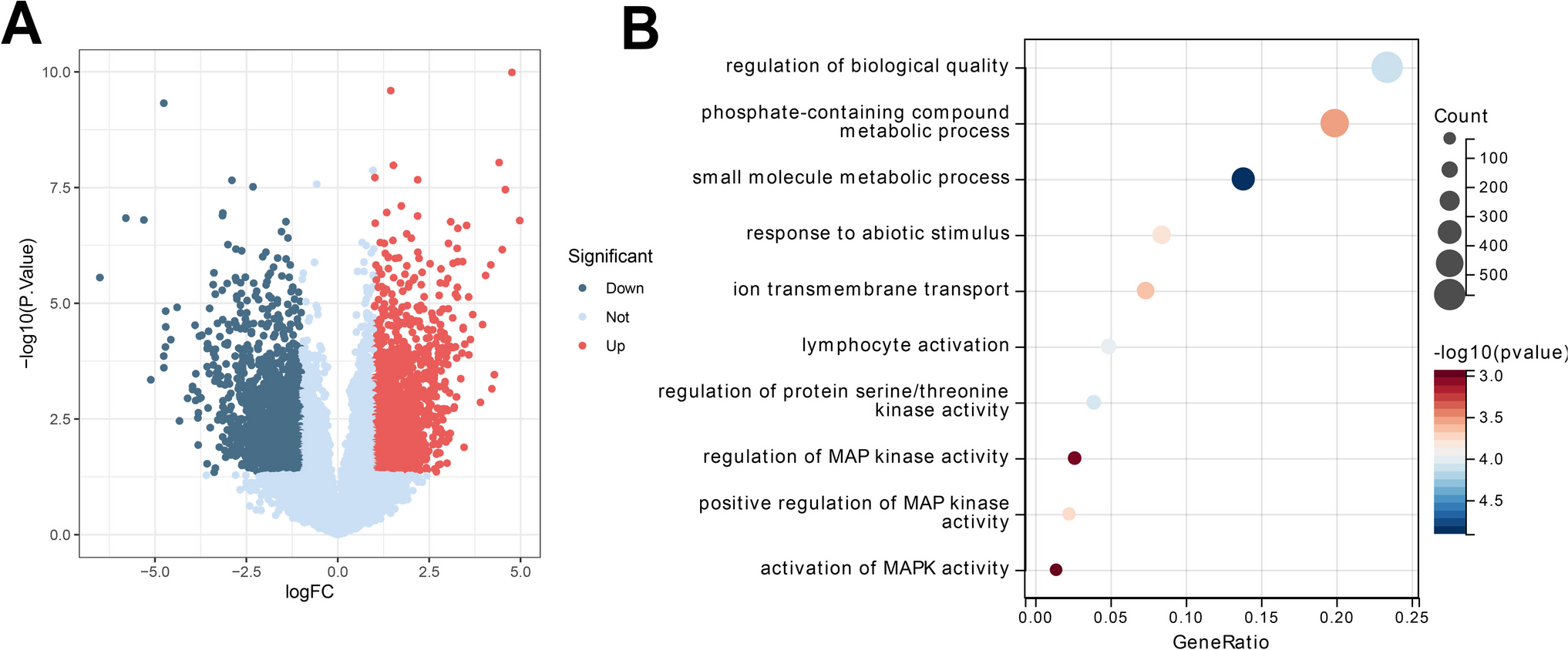 Exploring the Role of TRAF6-TAK1 Pathway in Podocyte Pyroptosis and Its Implications for Primary Membranous Nephropathy Therapy