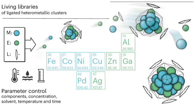A living library concept to capture the dynamics and reactivity of mixed-metal clusters for catalysis