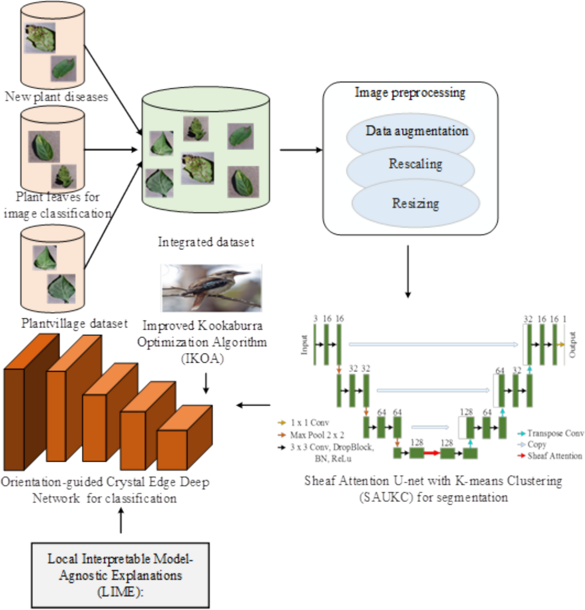 Innovative Deep Learning Framework for Accurate Plant Disease Detection and Crop Productivity Enhancement