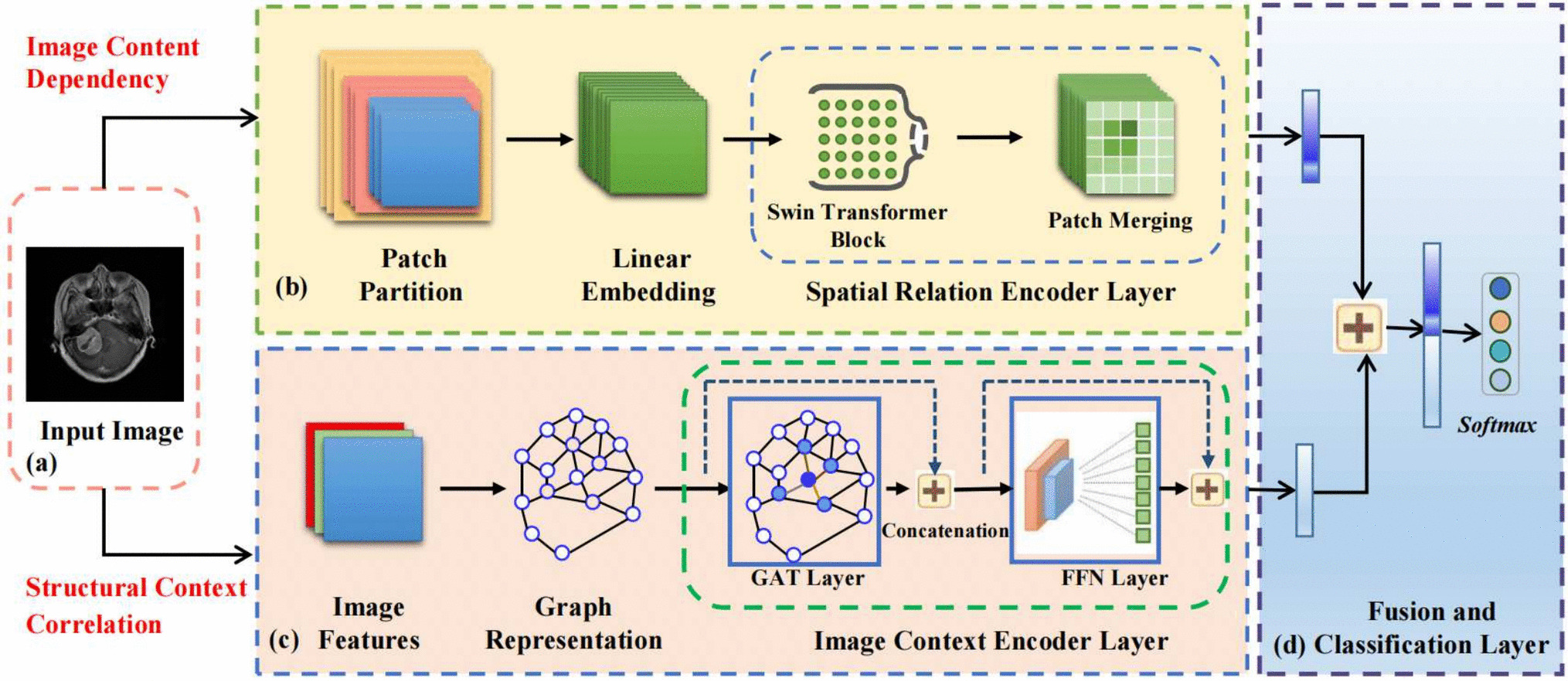 HLAE: Hierarchical Local Attention Encoder for MRI Brain Tumor Image Classification