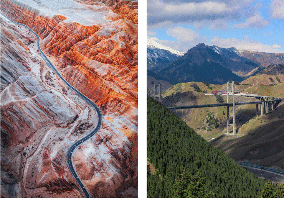 Exploiting Deep Contrast Feature for Image Retrieval