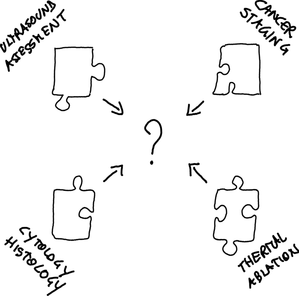 Complexity in the interpretation and application of multiple guidelines for thyroid nodules: the need for coordinated recommendations for “small” lesions