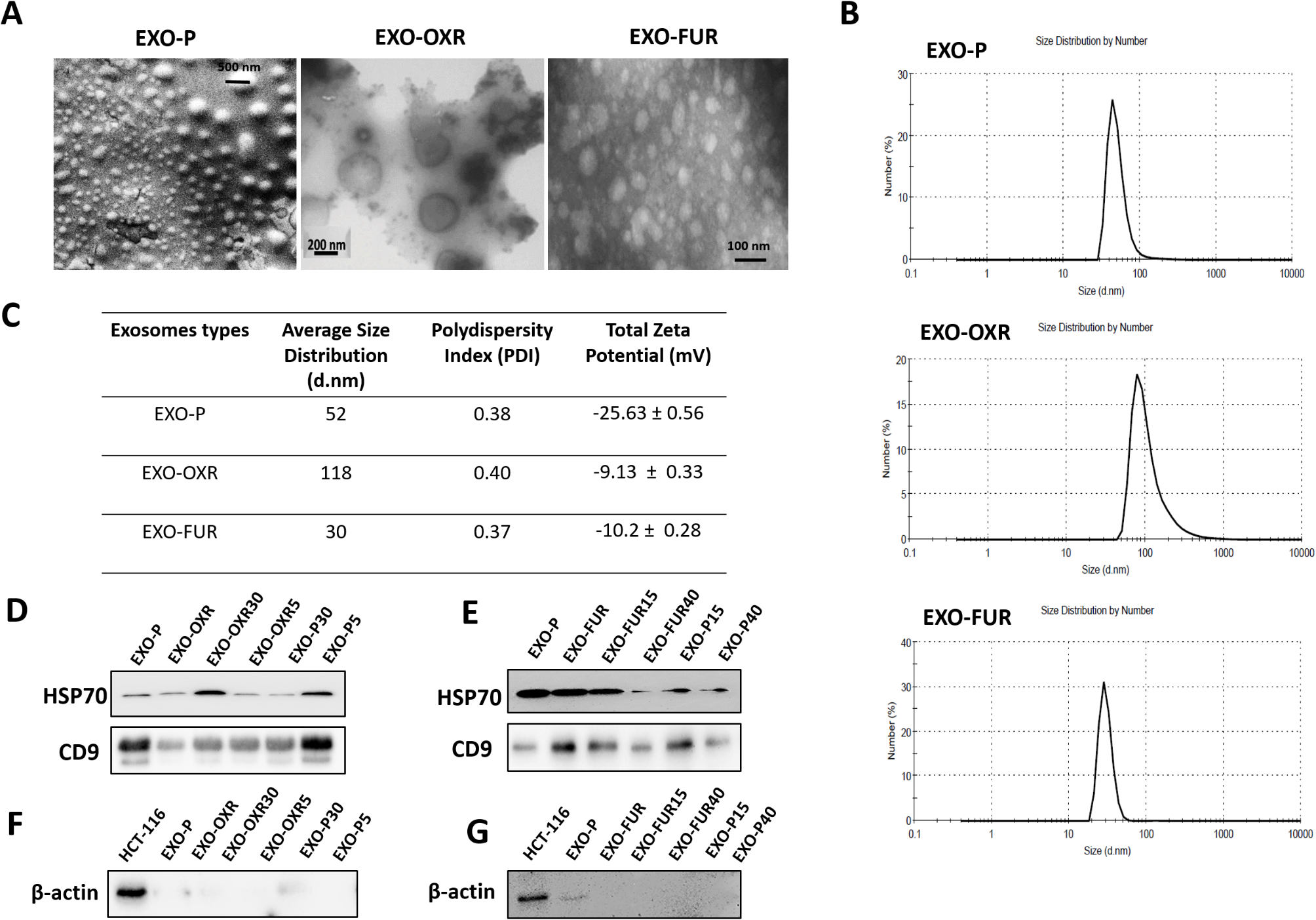 Exosomes and their distinct integrins transfer the characteristics of oxaliplatin- and 5-FU-resistant behaviors in colorectal cancer cells