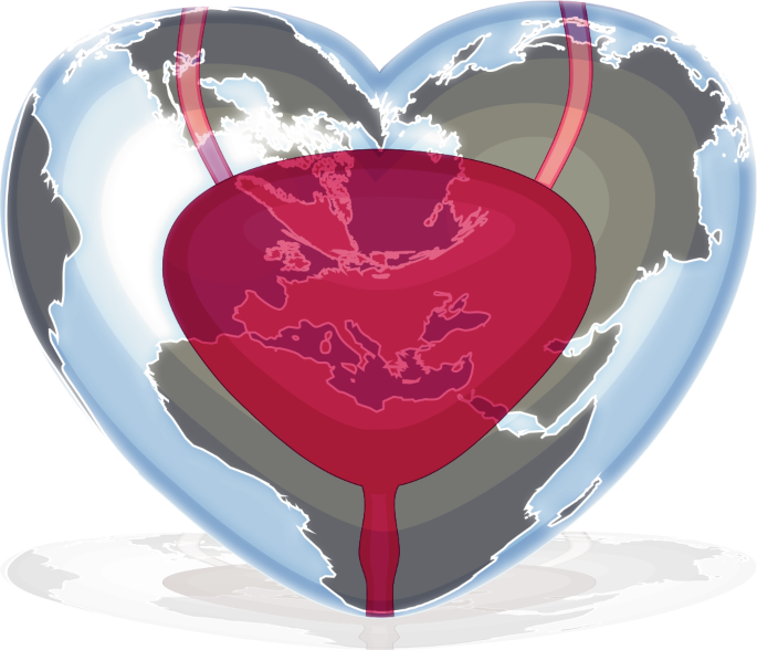 The key to humanitarian urology: do not import the surgeon, create trained local surgical teams