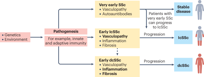 An international perspective on the future of systemic sclerosis research