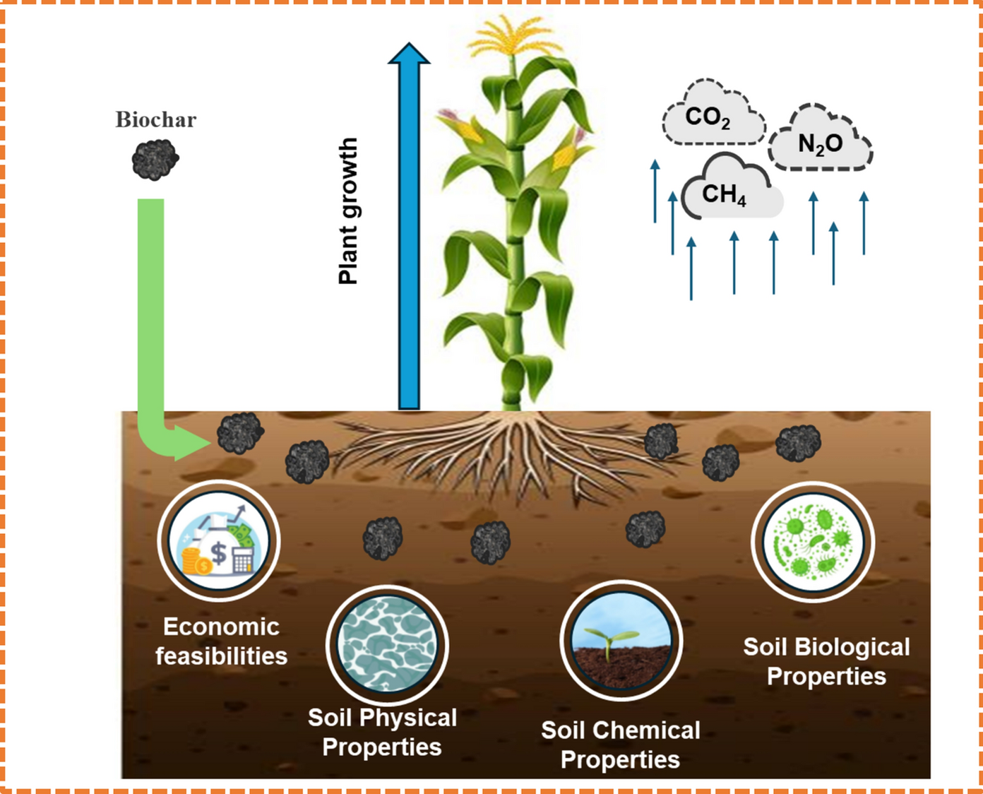 The potential of biochar incorporation into agricultural soils to promote sustainable agriculture: insights from soil health, crop productivity, greenhouse gas emission mitigation and feasibility perspectives—a critical review
