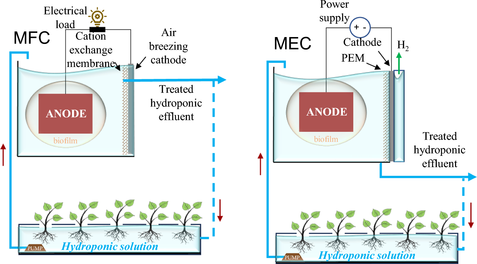 Review of current hydroponic food production practices and the potential role of bioelectrochemical systems