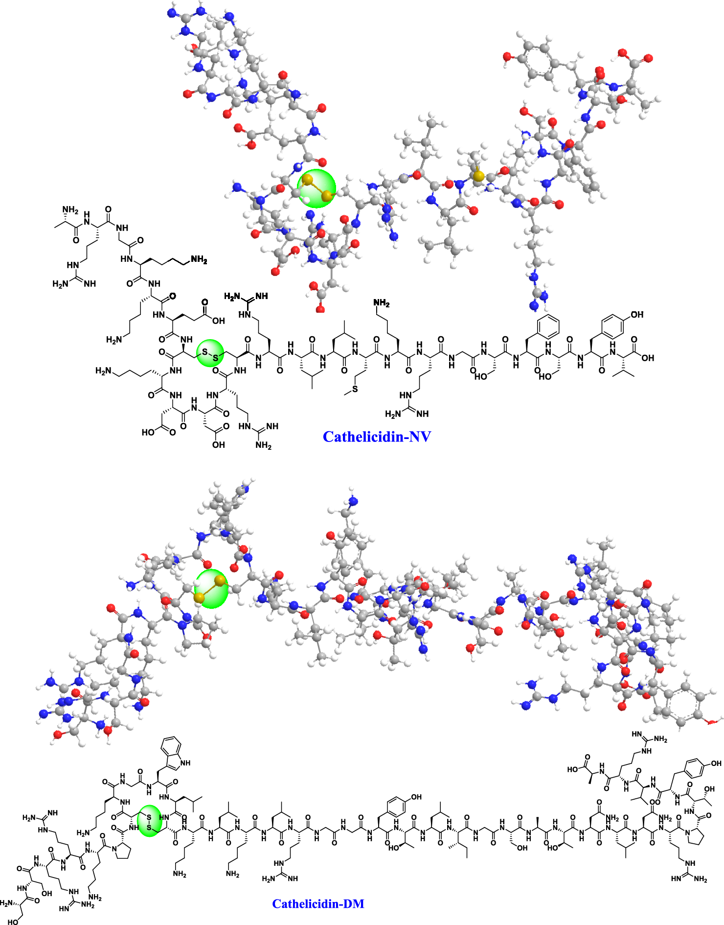 Effects of Disulphide Bond Substitution with 1,2,3-Triazoles on the Biological Activity and Wound Repair Function of Amphibian-Derived Cathelicidins