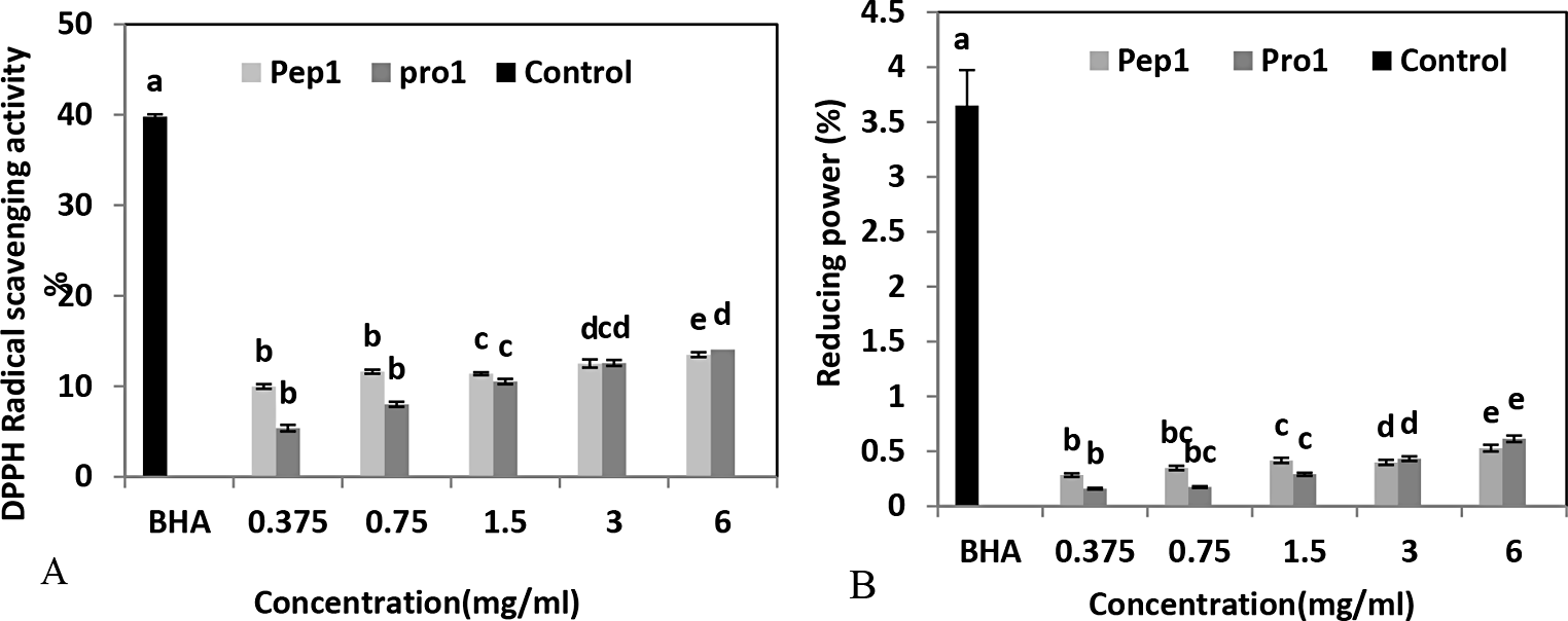 Extraction of Bioactive Peptides from Chlorella vulgaris Using Enzymatic Hydrolysis: A Green Natural Antioxidant