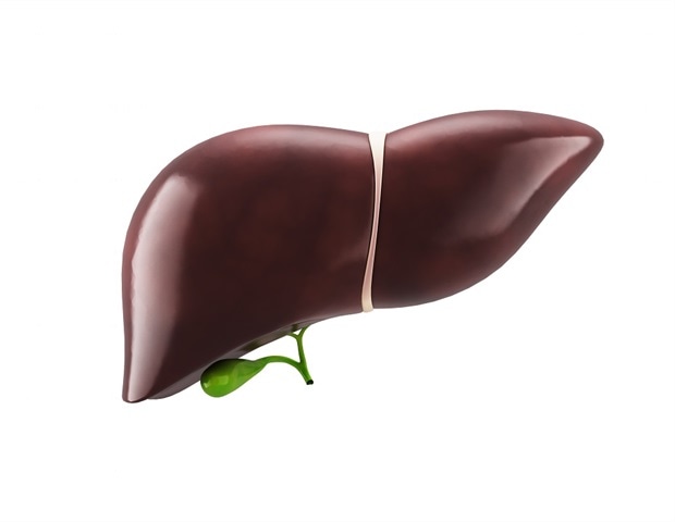 Review sheds light on the mechanistic role of long non-coding RNAs in liver disease