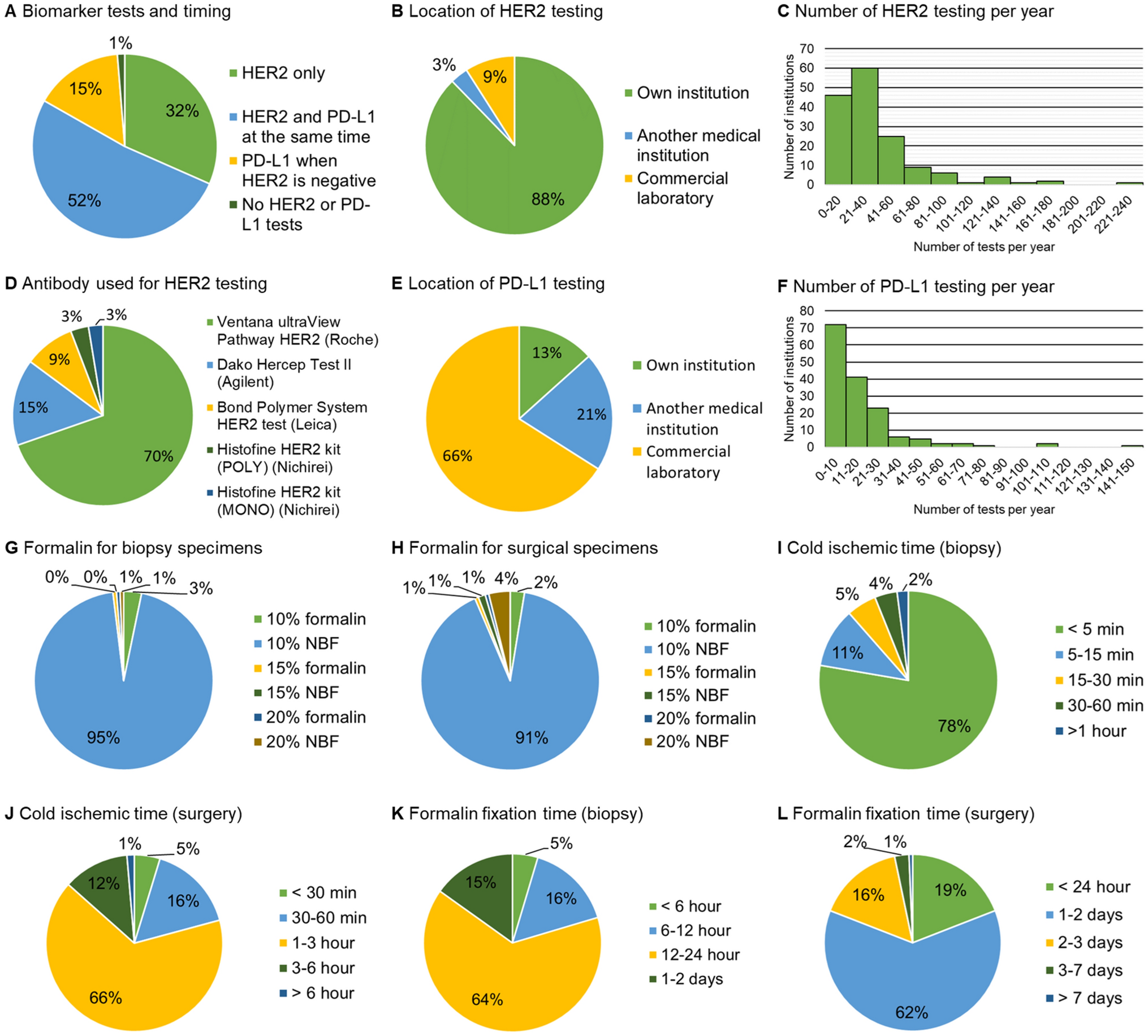Nationwide survey on HER2 and PD-L1 testing practices in gastric cancer across Japan