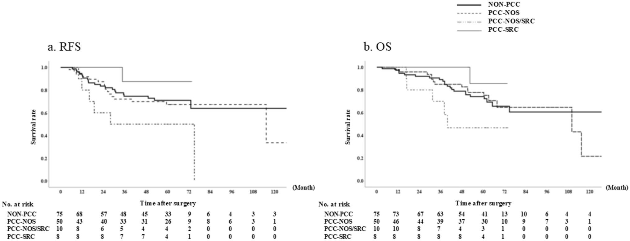 Impact of histologically poorly cohesive phenotype as a prognostic factor in patients with pStage II/III gastric cancer undergoing adjuvant chemotherapy