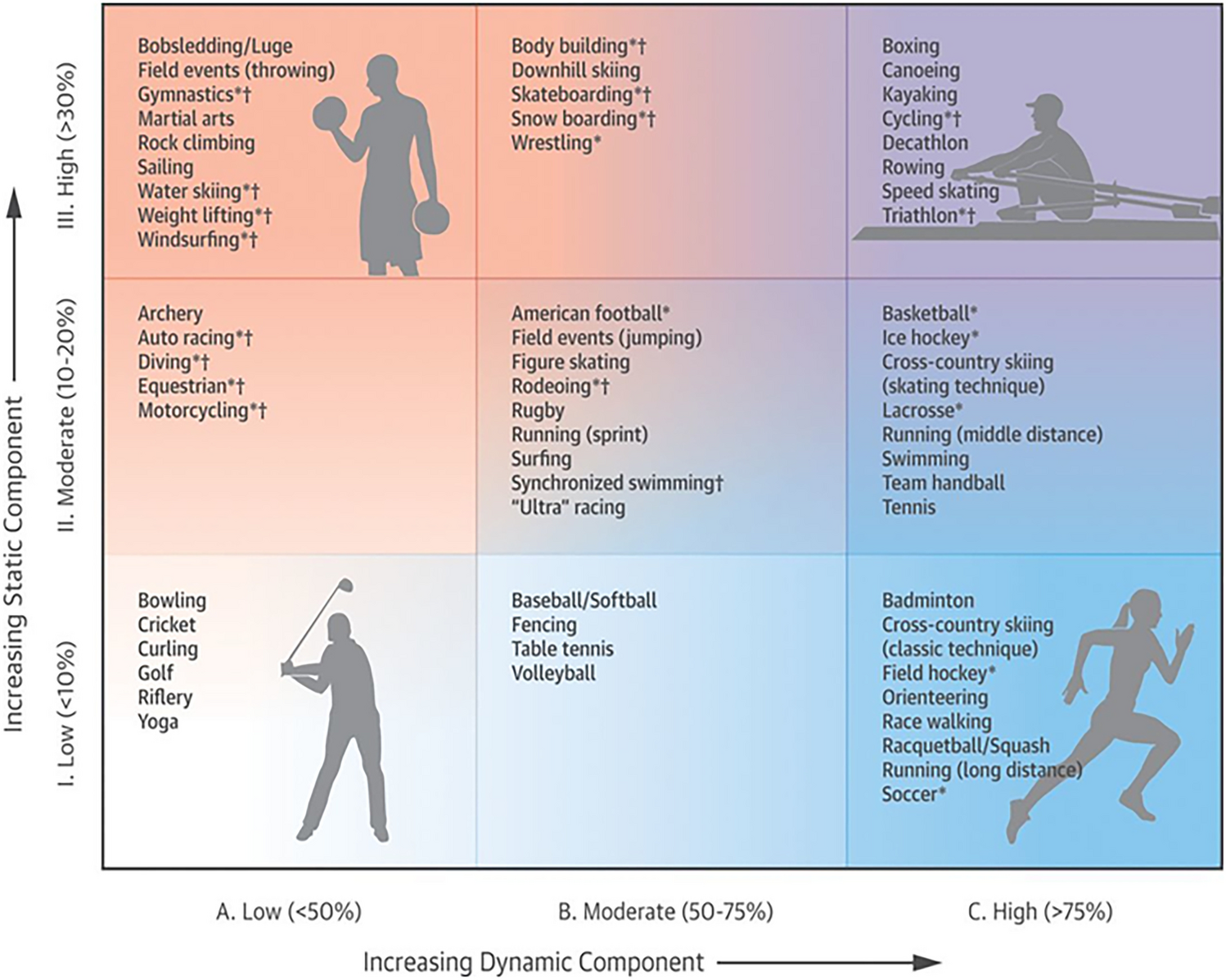 Beneficial Effects of Exercise on Hypertension-Induced Cardiac Hypertrophy in Adolescents and Young Adults