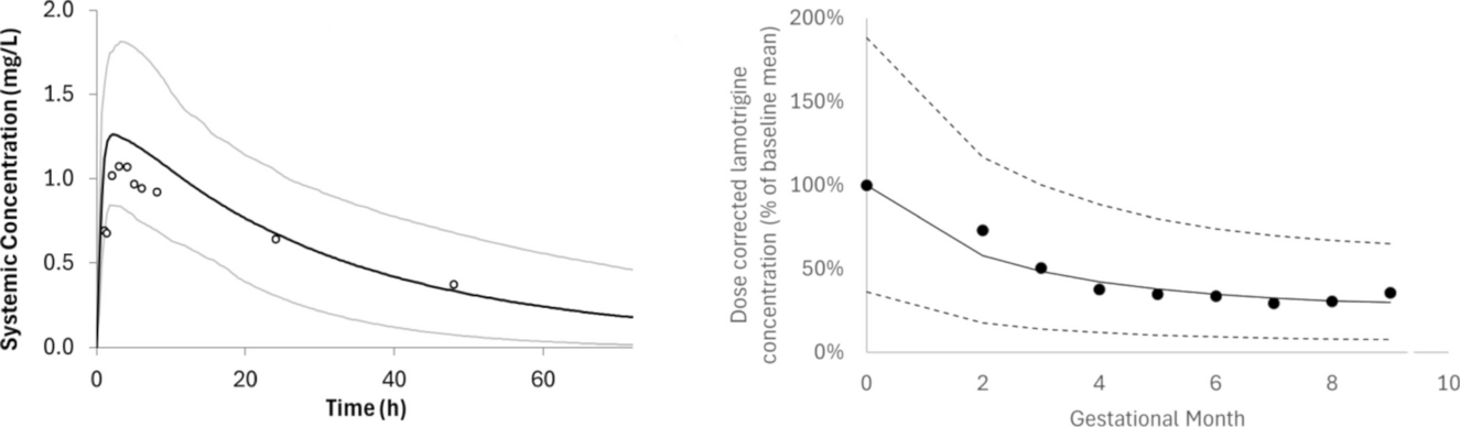 Development of a PBPK Model for Lamotrigine which Incorporates Metabolism by UGT2B10: Impact of UGT2B10 Poor Metabolizer Phenotype and Pregnancy
