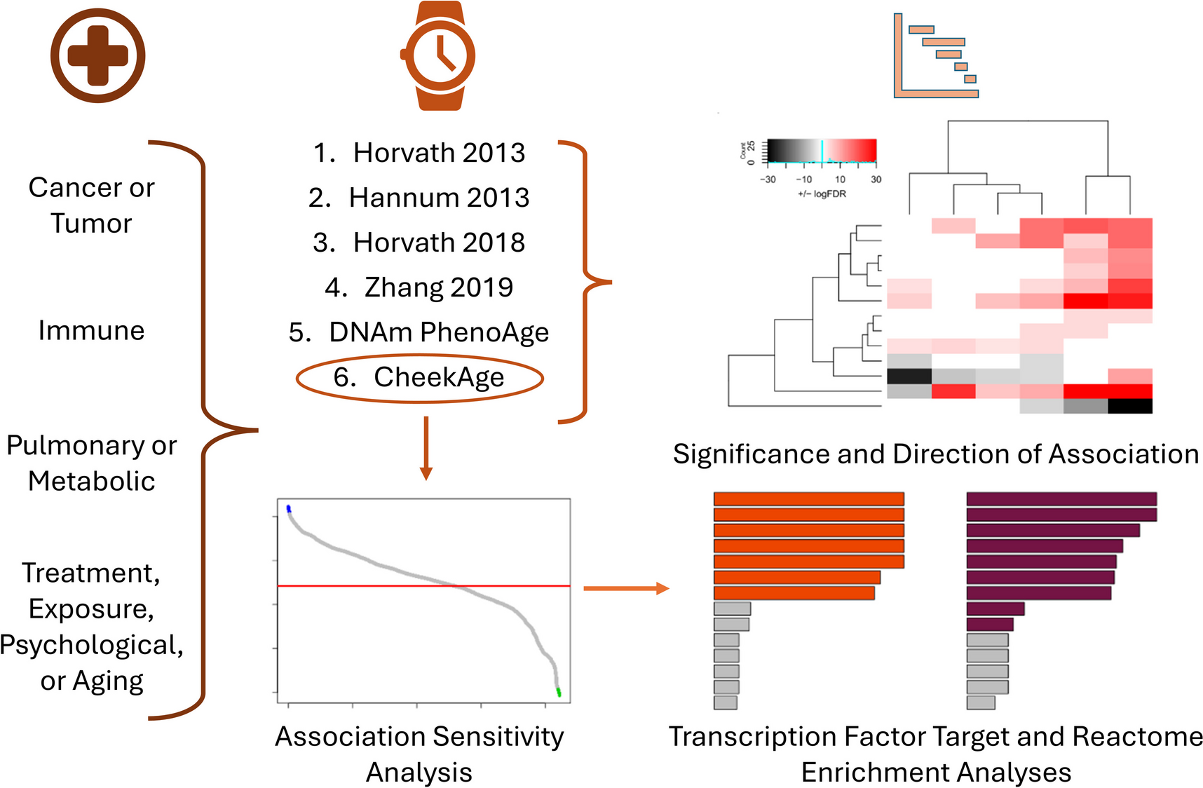 Various diseases and conditions are strongly associated with the next-generation epigenetic aging clock CheekAge