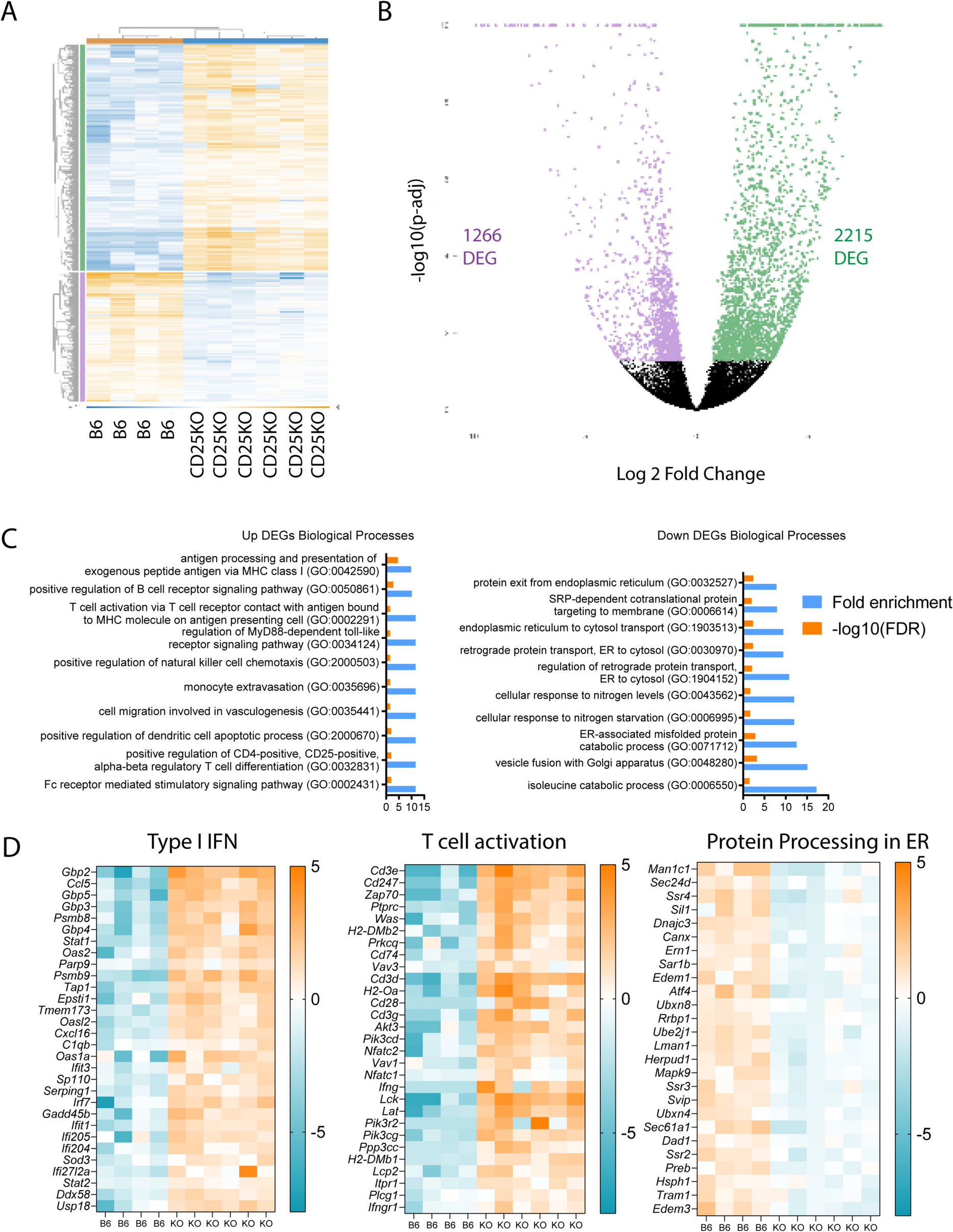 Aged regulatory T cells fail to control autoimmune lacrimal gland pathogenic CD4 T cells