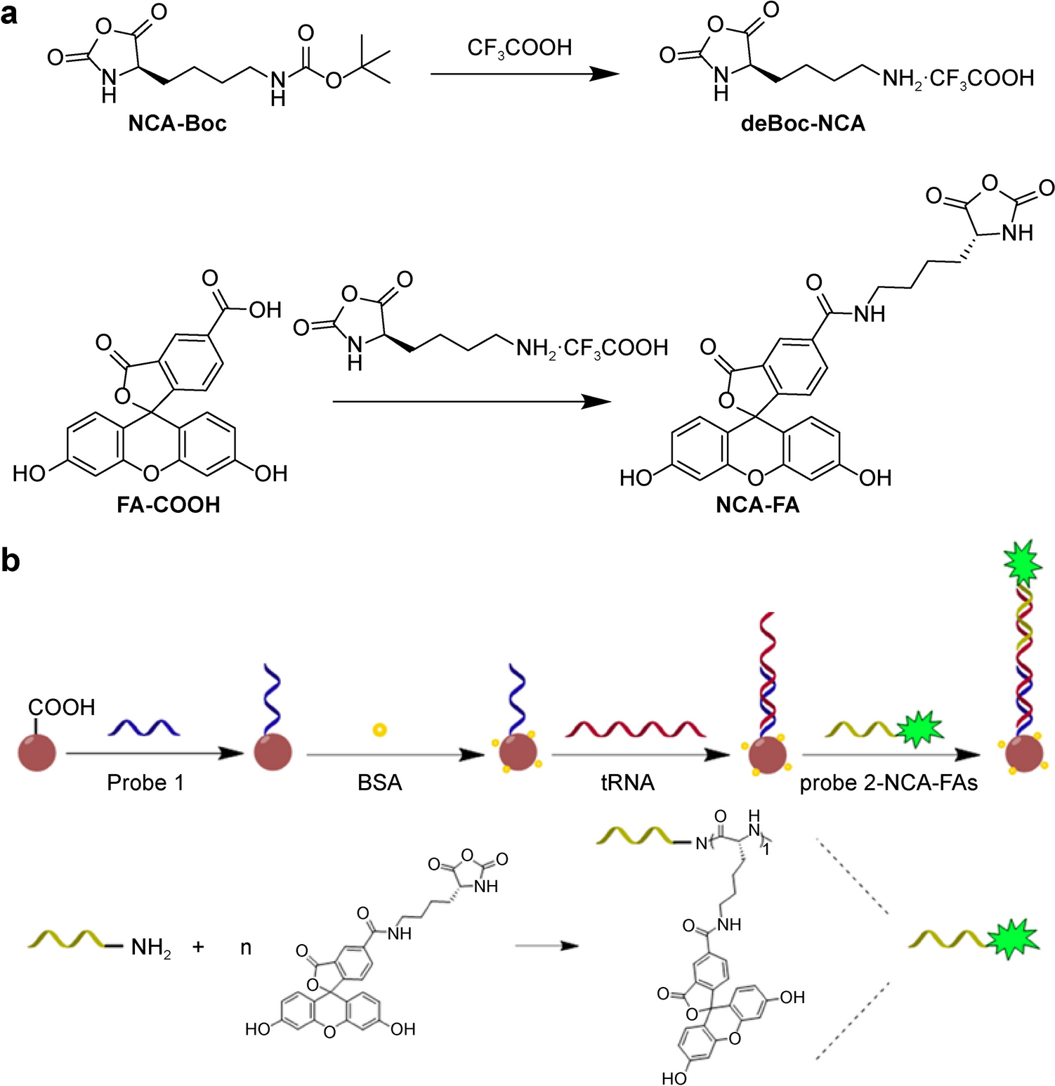 High-Sensitivity Detection of Tobacco Mosaic Virus RNA Based on a Ring-Opening Polymerization Fluorescent Biosensor